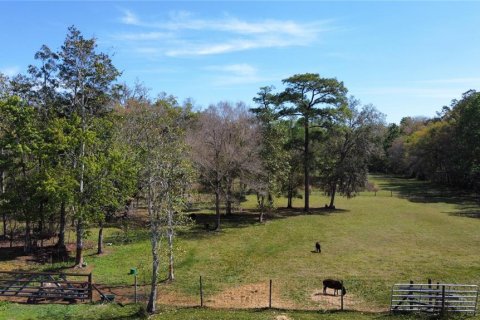 House in Oviedo, Florida 4 bedrooms, 236.9 sq.m. № 1386471 - photo 1