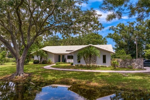 Villa ou maison à vendre à Odessa, Floride: 5 chambres, 467.95 m2 № 1334087 - photo 2