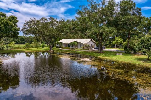 Villa ou maison à vendre à Odessa, Floride: 5 chambres, 467.95 m2 № 1334087 - photo 1