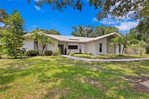 Villa ou maison à vendre à Odessa, Floride: 5 chambres, 467.95 m2 № 1334087 - photo 3