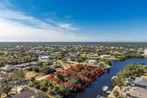 Land in Port Charlotte, Florida № 885393 - photo 1