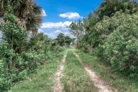 Terreno en venta en Okeechobee, Florida № 1275477 - foto 28