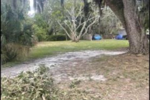 Terrain à vendre à Tampa, Floride № 240514 - photo 3
