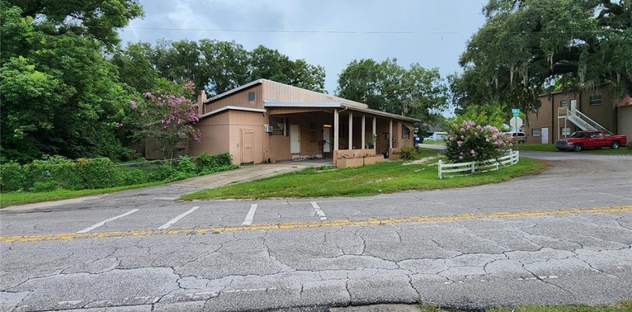 Commercial property in Dade City, Florida 316.24 sq.m. № 1388478