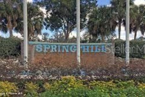 Land in Spring Hill, Florida № 1352710 - photo 3