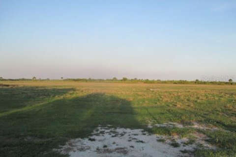 Купить земельный участок в Окичоби, Флорида № 553524 - фото 8