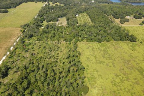 Terreno en venta en Dade City, Florida № 1343412 - foto 7