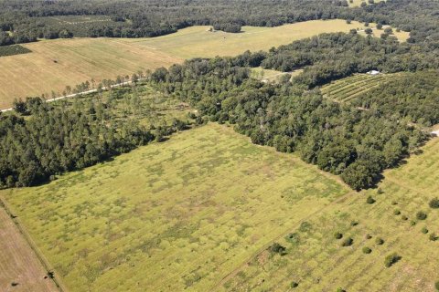 Terreno en venta en Dade City, Florida № 1343412 - foto 5