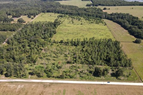 Terreno en venta en Dade City, Florida № 1343412 - foto 9