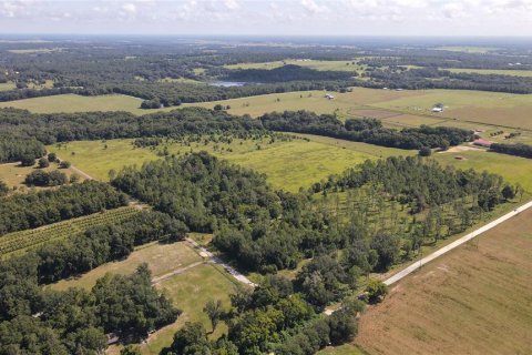 Terreno en venta en Dade City, Florida № 1343412 - foto 10