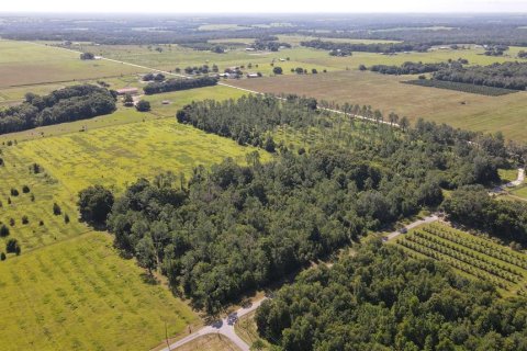 Terreno en venta en Dade City, Florida № 1343412 - foto 3