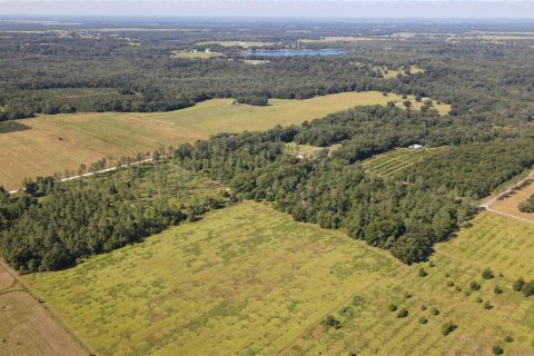 Terreno en venta en Dade City, Florida № 1343412 - foto 6