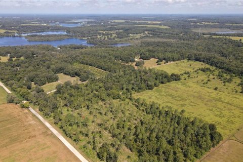 Terreno en venta en Dade City, Florida № 1343412 - foto 8