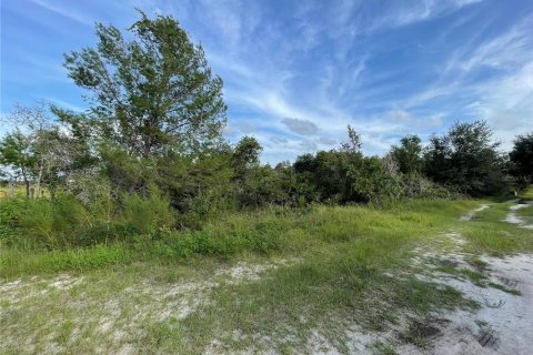 Land in Frostproof, Florida № 1389440 - photo 2