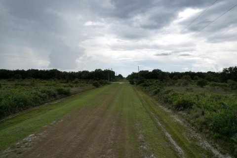 Купить земельный участок в Окичоби, Флорида № 890214 - фото 2