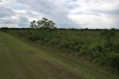 Купить земельный участок в Окичоби, Флорида № 890214 - фото 4