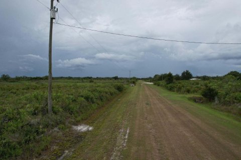 Land in Okeechobee, Florida № 890214 - photo 3