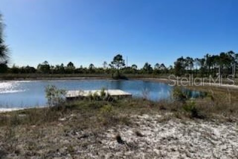 Terreno en venta en Punta Gorda, Florida № 384100 - foto 11