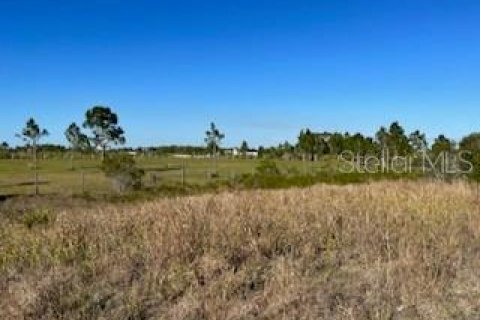 Terreno en venta en Punta Gorda, Florida № 384100 - foto 12