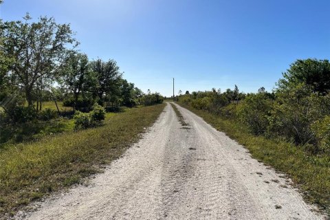 Terreno en venta en Punta Gorda, Florida № 384100 - foto 6