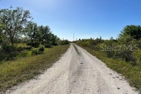 Terreno en venta en Punta Gorda, Florida № 384100 - foto 8