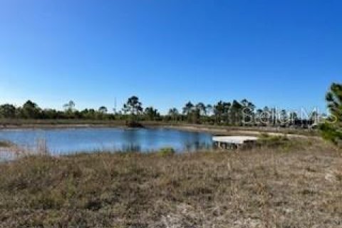 Terreno en venta en Punta Gorda, Florida № 384100 - foto 10