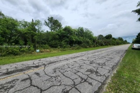 Land in Clewiston, Florida № 1235312 - photo 2