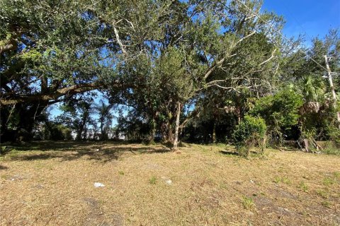 Купить земельный участок в Тампа, Флорида № 885119 - фото 5