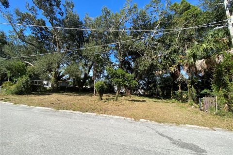 Купить земельный участок в Тампа, Флорида № 885119 - фото 1