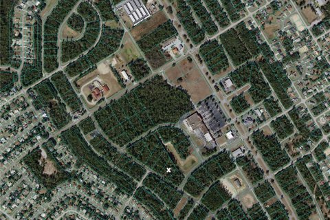 Terrain à vendre à Ocala, Floride № 1091142 - photo 23