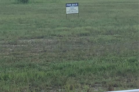 Immobilier commercial à vendre à Cape Coral, Floride № 1013506 - photo 1