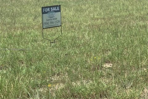 Immobilier commercial à vendre à Cape Coral, Floride № 1013506 - photo 24