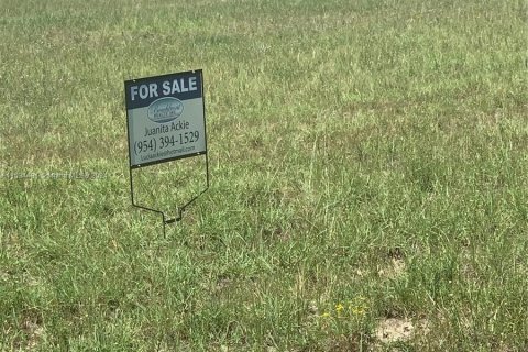 Immobilier commercial à vendre à Cape Coral, Floride № 1013506 - photo 26
