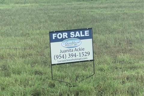 Immobilier commercial à vendre à Cape Coral, Floride № 1013506 - photo 3