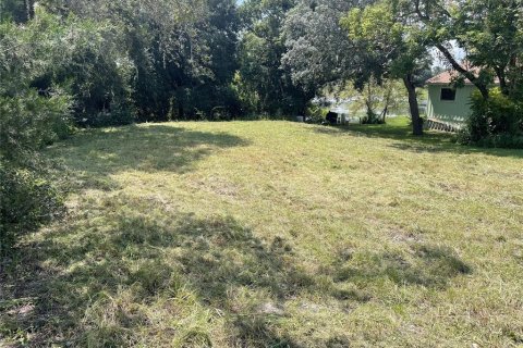 Terreno en venta en DeBary, Florida № 1379683 - foto 1