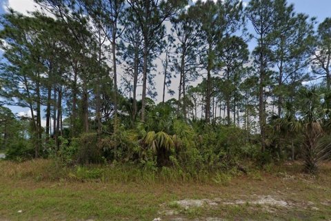 Land in Palm Bay, Florida № 1150743 - photo 1