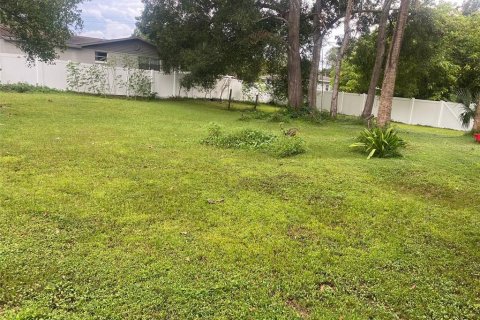 Terreno en venta en Tampa, Florida № 1393276 - foto 2