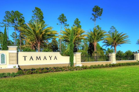 Tamaya à Jacksonville, Floride № 486482 - photo 11