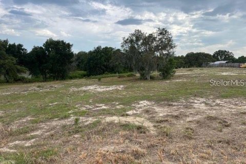 Land in Lake Wales, Florida № 1361866 - photo 4