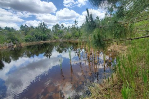 Land in Punta Gorda, Florida № 1158408 - photo 1