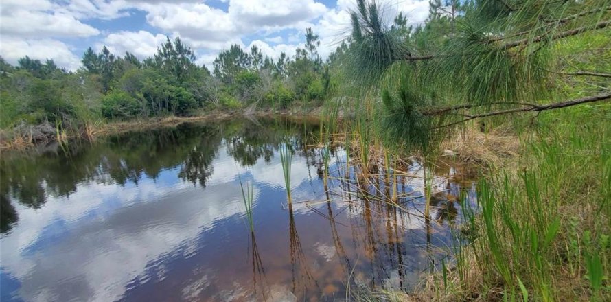 Terreno en Punta Gorda, Florida № 1158408