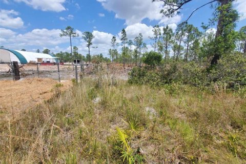 Terrain à vendre à Punta Gorda, Floride № 1158408 - photo 24