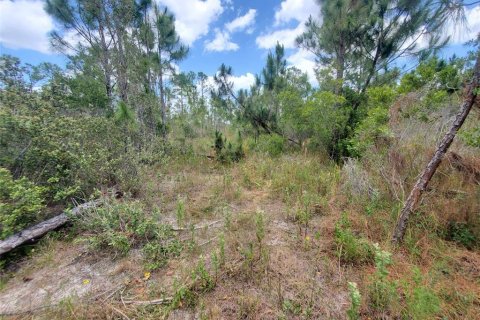 Terrain à vendre à Punta Gorda, Floride № 1158408 - photo 11