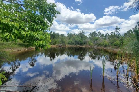 Terreno en venta en Punta Gorda, Florida № 1158408 - foto 2