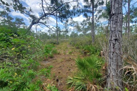 Land in Punta Gorda, Florida № 1158408 - photo 17