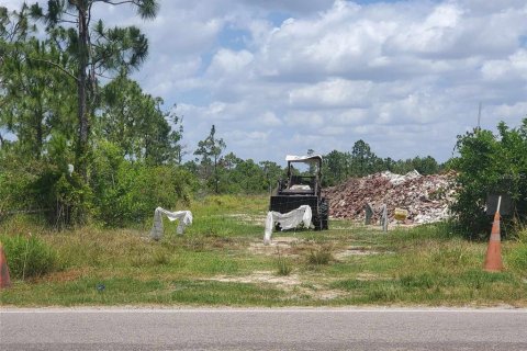 Terrain à vendre à Punta Gorda, Floride № 1158408 - photo 12