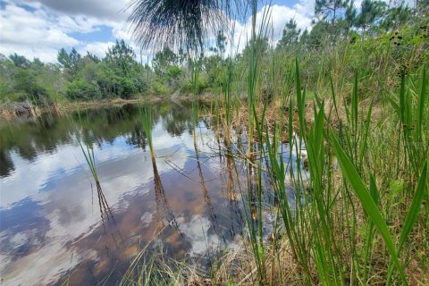 Terreno en venta en Punta Gorda, Florida № 1158408 - foto 4