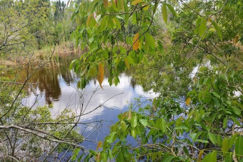 Land in Punta Gorda, Florida № 1158408 - photo 7