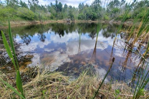 Land in Punta Gorda, Florida № 1158408 - photo 3