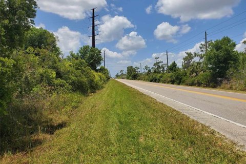 Terrain à vendre à Punta Gorda, Floride № 1158408 - photo 13